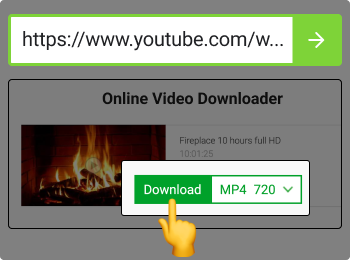 Instagram Video Download SaveFromNet